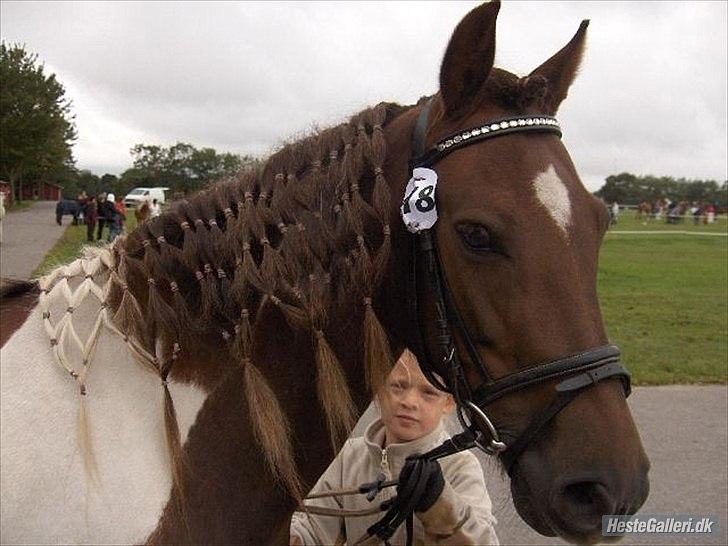 Pinto Saxpo Pleasure. - Velkommen til Pleasures profil.. I må meget gerne skrive hvorfor i Afviser:)<3 billede 1