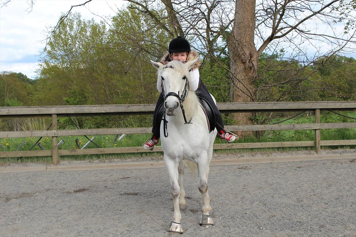 Connemara Kalle  - Hihi, sjoveee ^^ billede 18