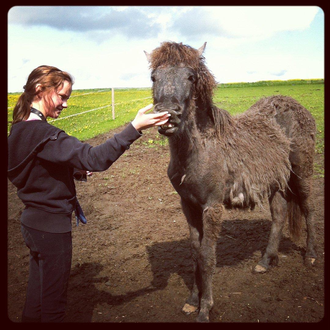 Islænder Sjóli | Min bedsteven<3 |  - You fill a large part of my life, I love you♥ billede 7