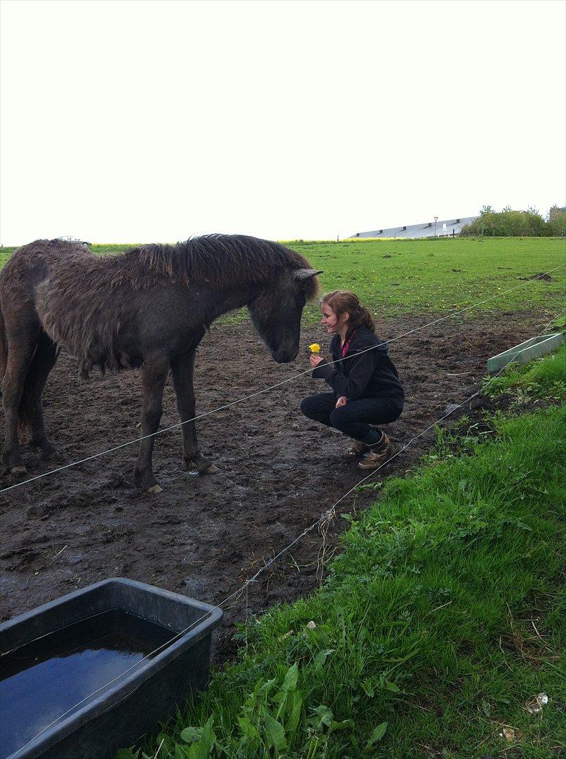Islænder Sjóli | Min bedsteven<3 |  - You've got confidence in me♥ billede 4