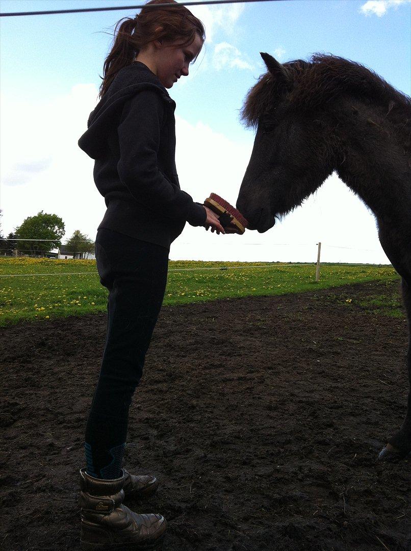 Islænder Sjóli | Min bedsteven<3 |  - Cute ♥ billede 9