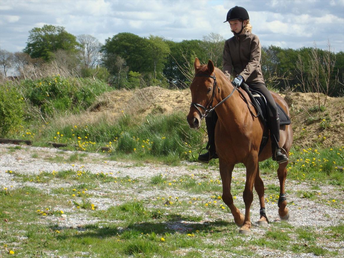 Anden særlig race Artemis - 7# Vi rider! :D<3 billede 7