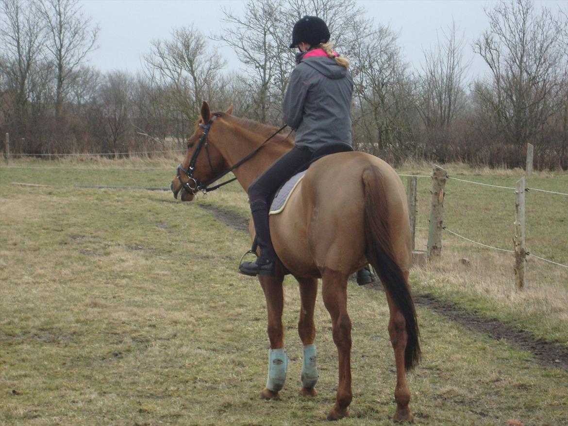 Anden særlig race Artemis - 5# Da jeg prøvede Arte første gang.<3 billede 5