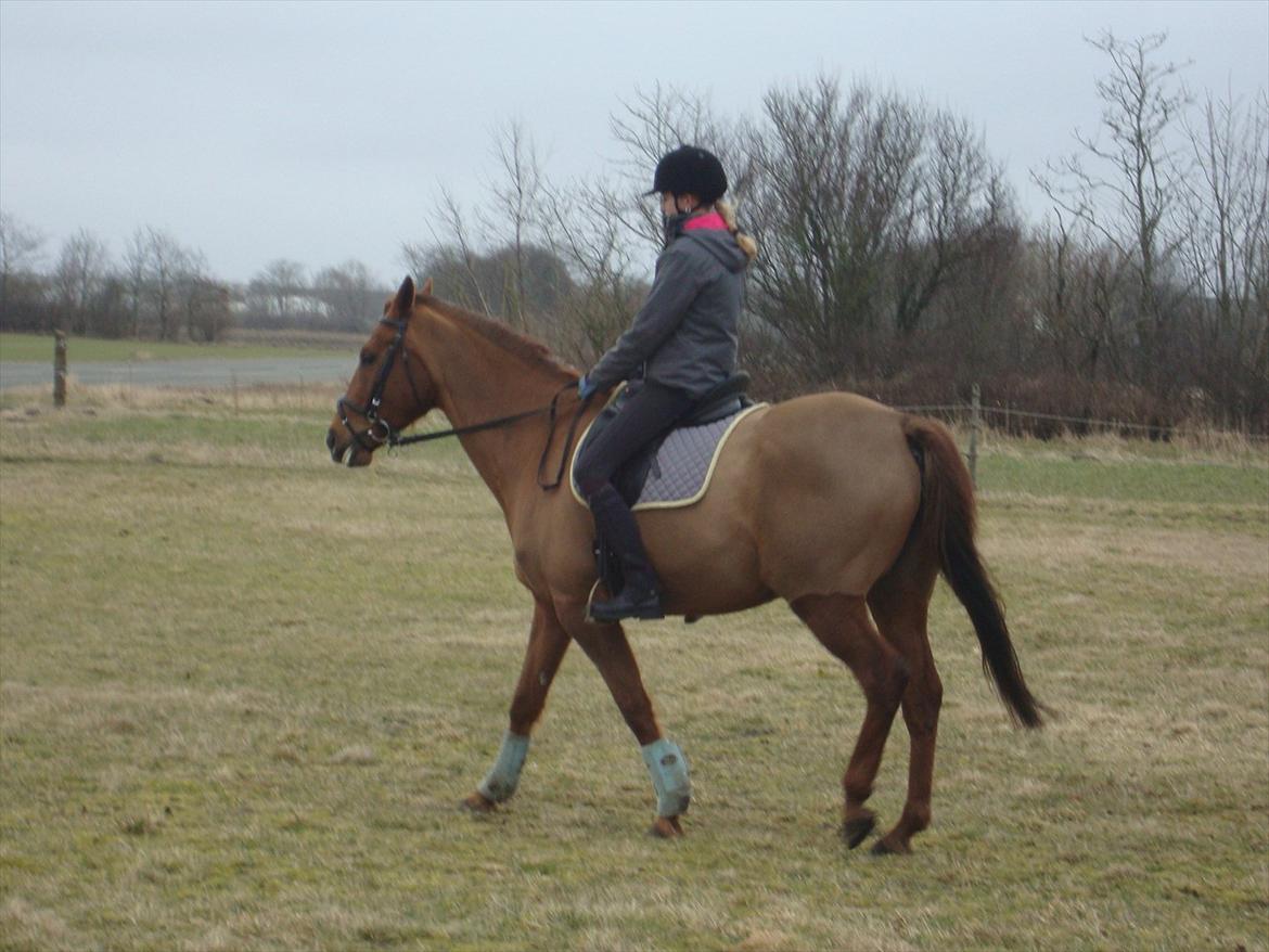 Anden særlig race Artemis - 6# Da jeg prøvede Arte første gang.<3 billede 6