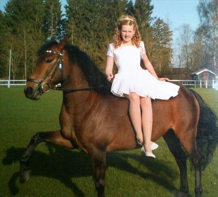 Anden særlig race Hope - her er et af mine konfirmations billeder med Hope billede 2