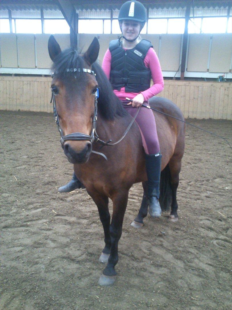 Anden særlig race Hope - Tak fordi du kiggede forbi Hopes profil, læg gerne en kommentar og en bedømmelse.
____________________
første ridetur uden sadel billede 20