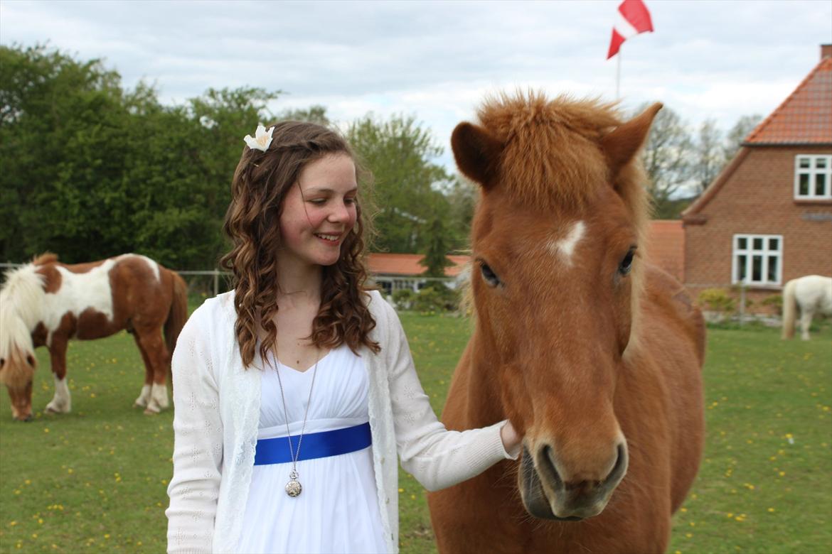 Islænder Drengür - I want you forever and always <3 <3
~Foto~ Signe ;) billede 19