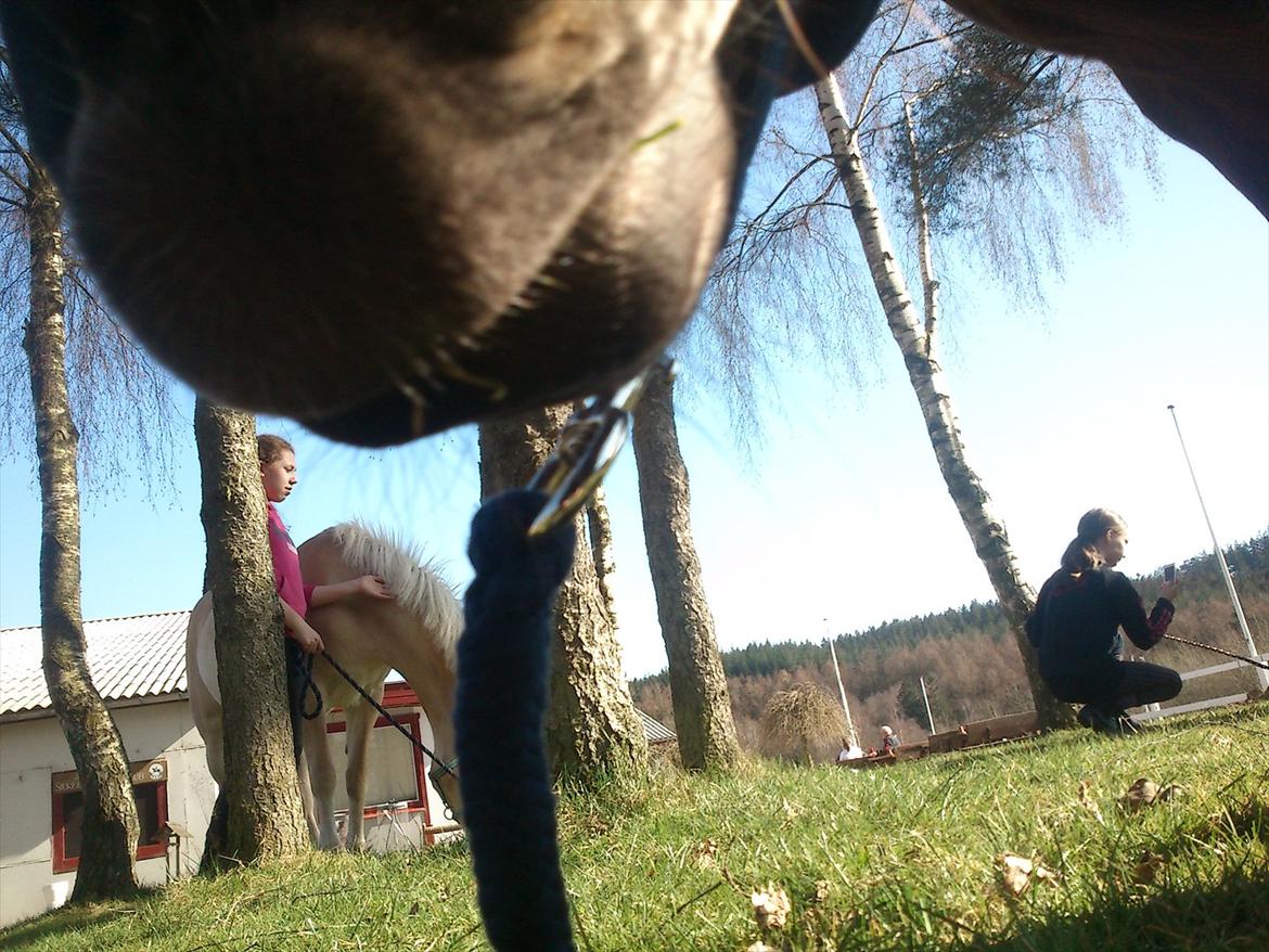 Anden særlig race Hope - kan det spises! billede 14