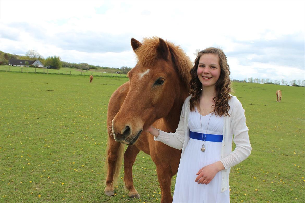 Islænder Drengür - Min dreng <3 :')
~Foto~ Signe :* billede 11