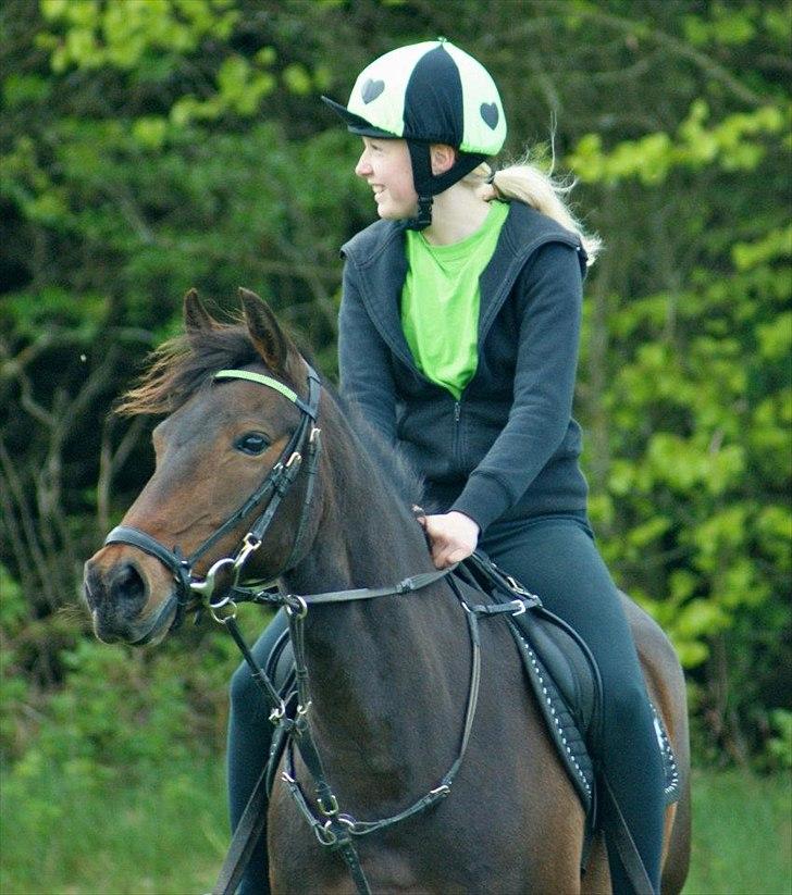 DSP Kvazandra Lapaz - min lille bamse<3 billede 8