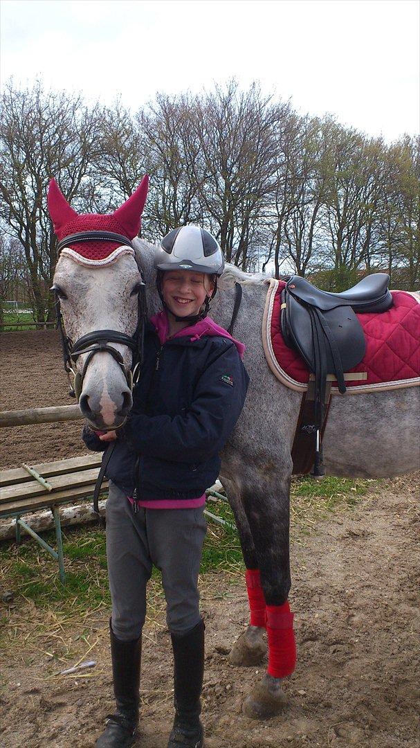 Hollandsk Sportspony Spice Girll billede 4