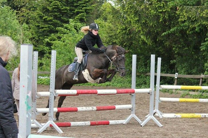 Anden særlig race Malou - Springtræning på La* Niveau :D Foto: Simone S billede 12