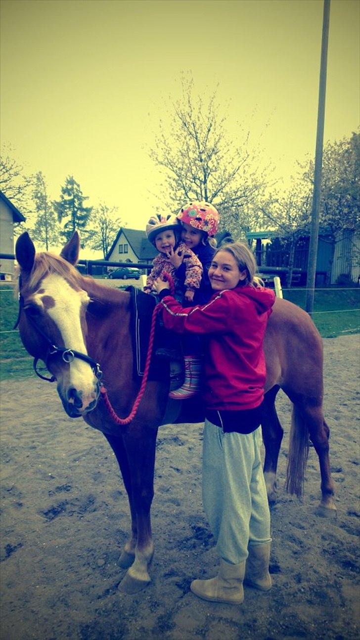 Anden særlig race Walk Of Fame *REST IN PEACE* - Mine 2 søde grandkusiner på Fame :-) billede 16