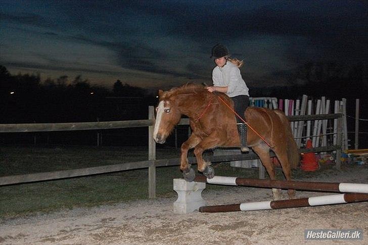 Anden særlig race Walk Of Fame *REST IN PEACE* - Spring med Codéo :) billede 17