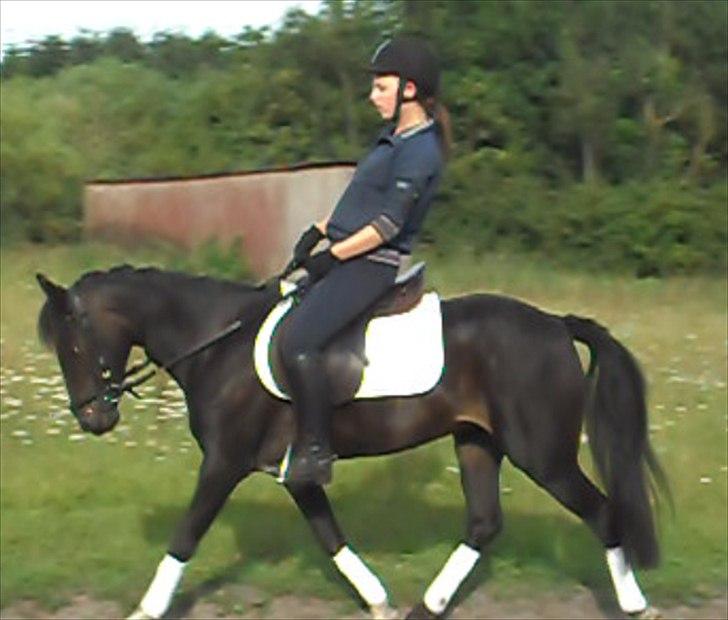 Anden særlig race Rose *REGIONSMESTER 2010* - Lidt dressurtræning derhjemme :) billede 19