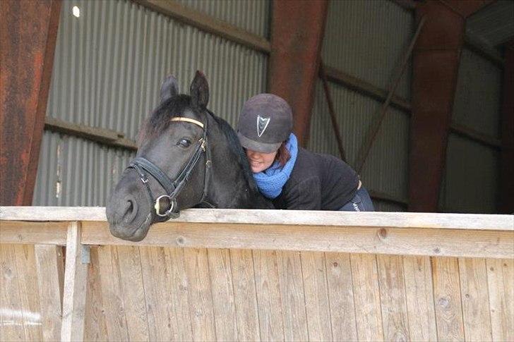 Anden særlig race Noah - en ven spurgte mig en dag "hvad er ægte venskab for dig?" , jeg kiggede ham i øjnene og smilede, mit svar var simpelt, "Noah .."  billede 20
