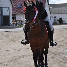 Anden særlig race Feline SOLGT