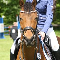 Tysk Sportspony - Maros b-pony SOLGT