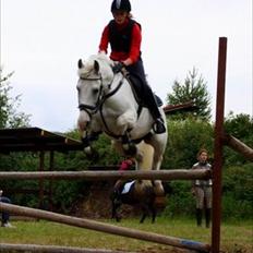 New Forest V. Stenhedens Tinni