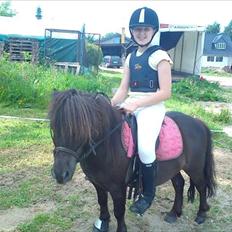 Shetlænder Malte (red)