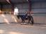 Trakehner Malaysia