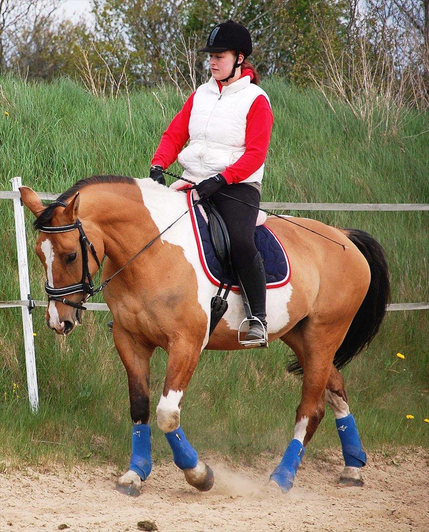 Anden særlig race Lunderskovs Whats Me *Baby* billede 5