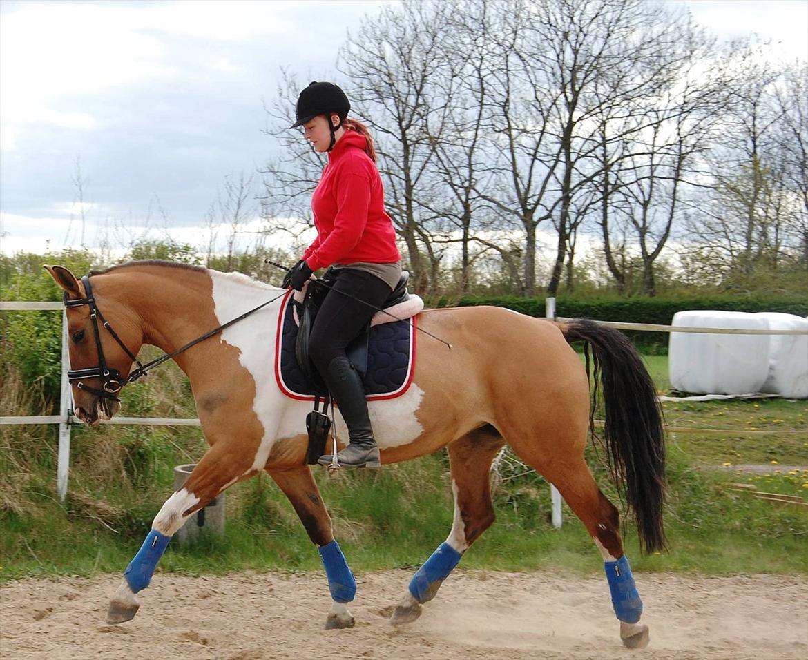 Anden særlig race Lunderskovs Whats Me *Baby* billede 7