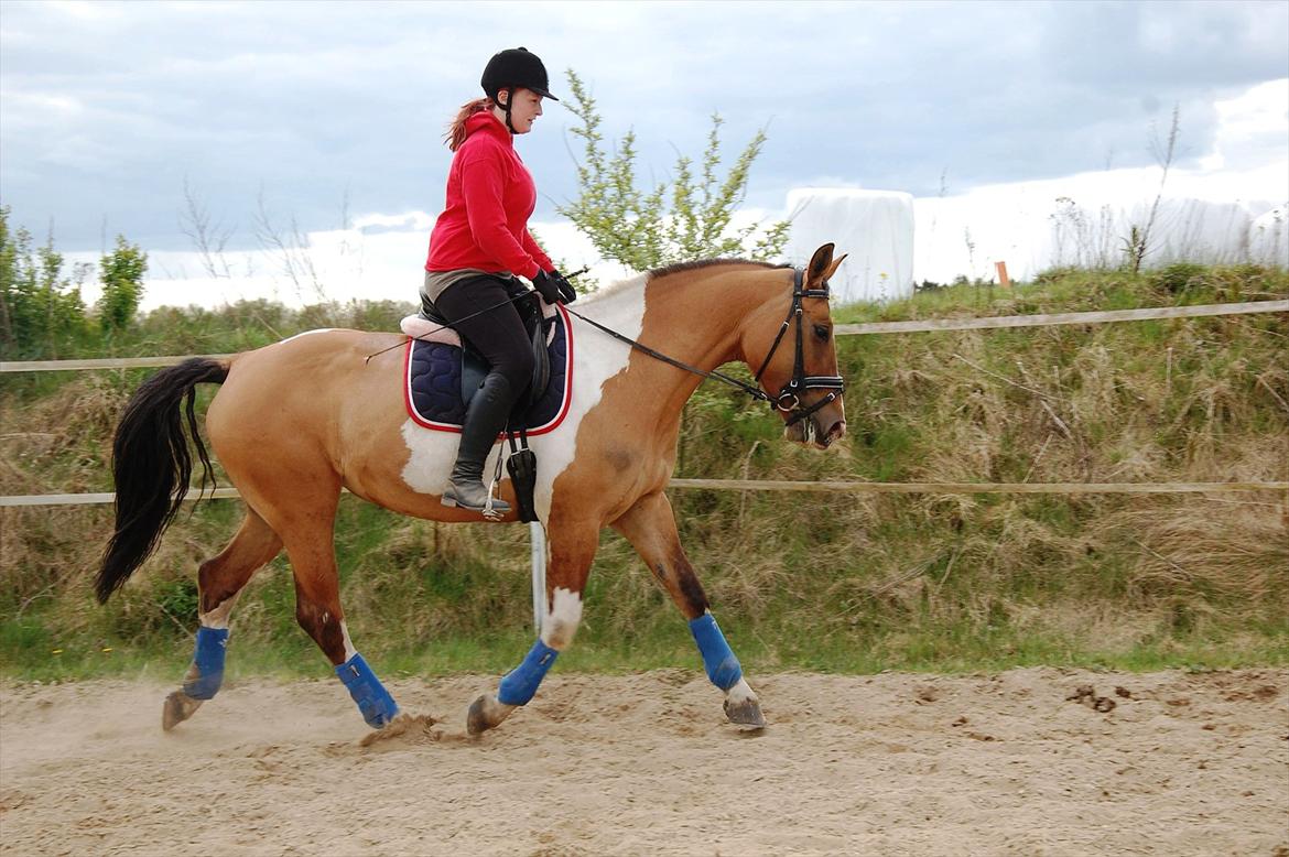 Anden særlig race Lunderskovs Whats Me *Baby* billede 8