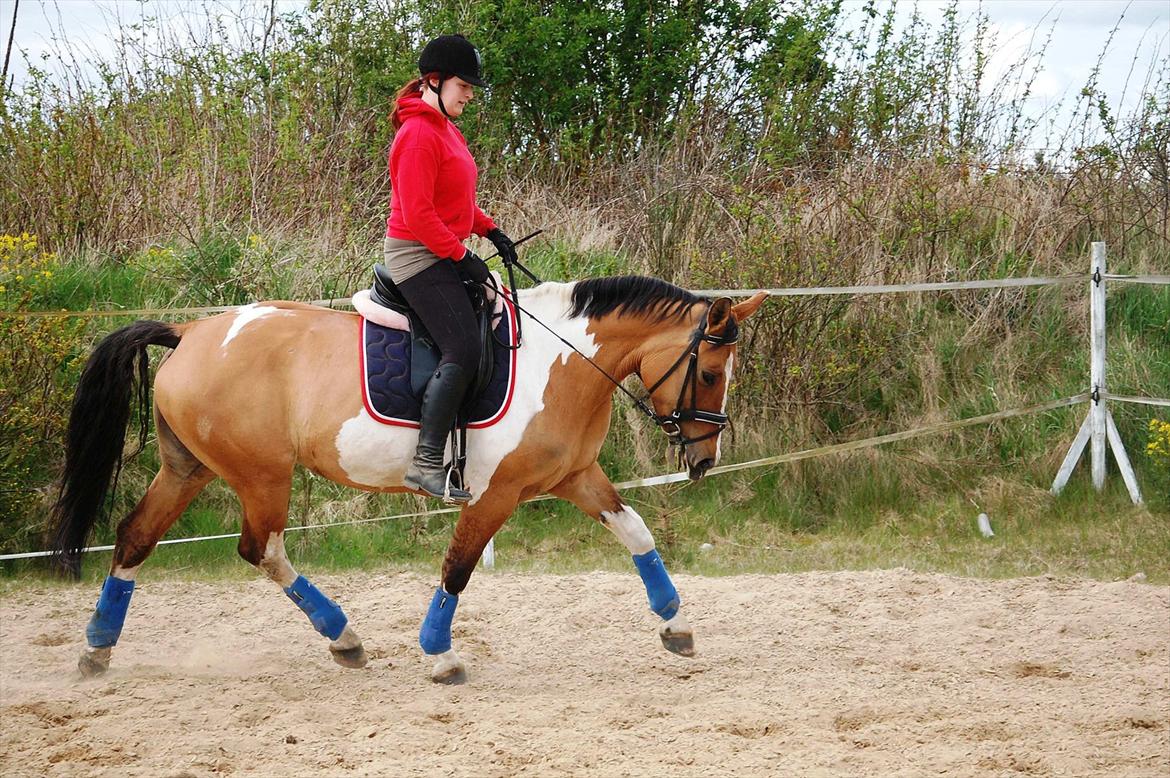 Anden særlig race Lunderskovs Whats Me *Baby* billede 9