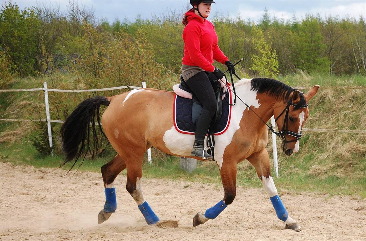 Anden særlig race Lunderskovs Whats Me *Baby* billede 10