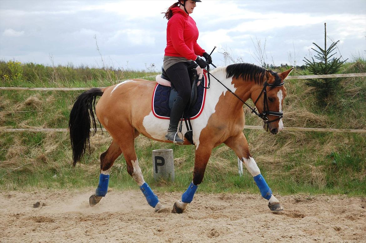 Anden særlig race Lunderskovs Whats Me *Baby* billede 6