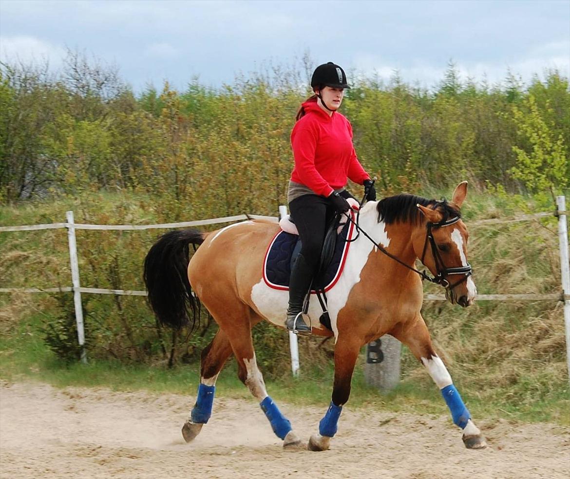 Anden særlig race Lunderskovs Whats Me *Baby* billede 11