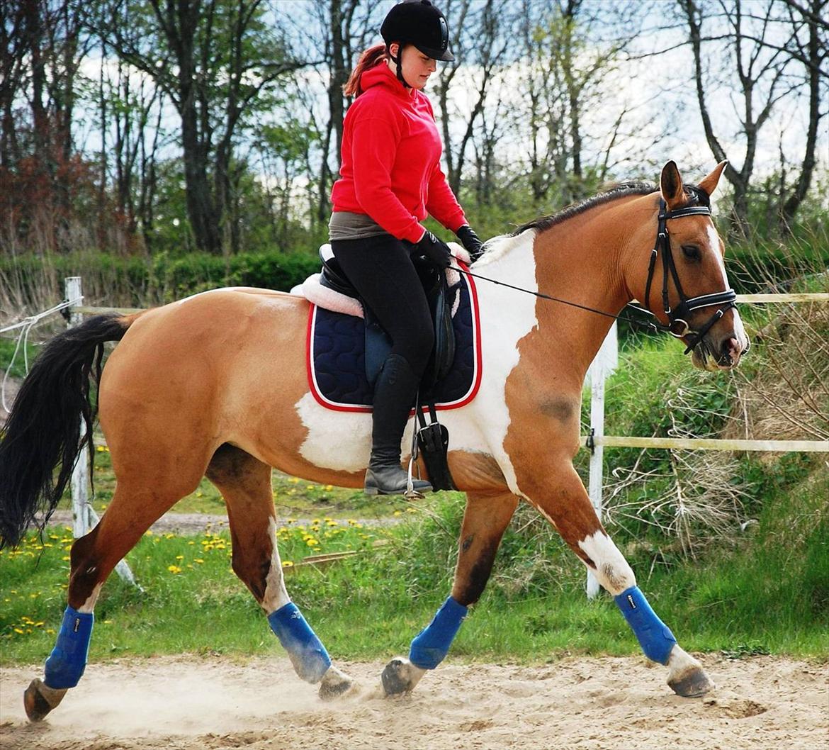 Anden særlig race Lunderskovs Whats Me *Baby* billede 12