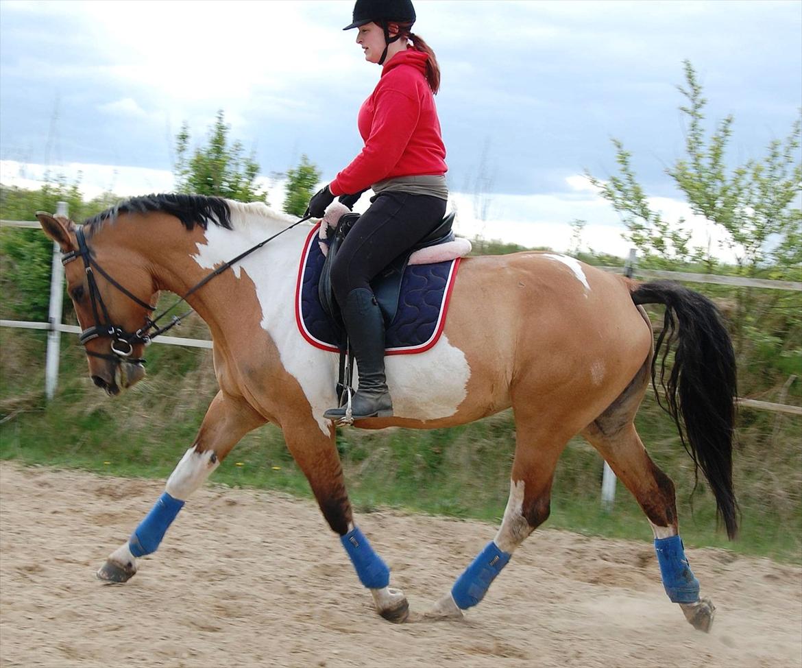 Anden særlig race Lunderskovs Whats Me *Baby* billede 3