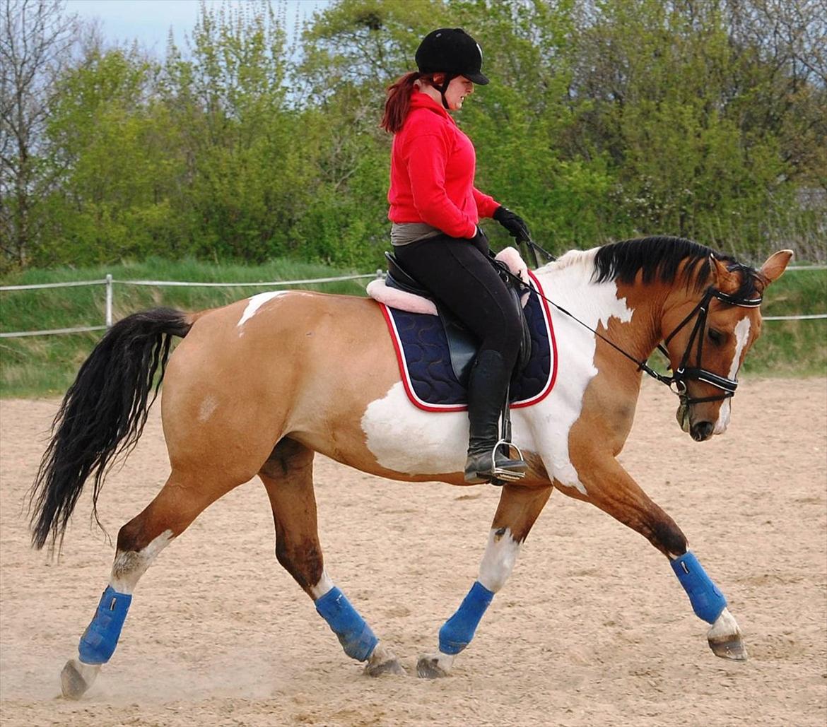 Anden særlig race Lunderskovs Whats Me *Baby* - Her er hun reden i knap 14 dage, Hun bliver en sand dressurstjerne billede 2