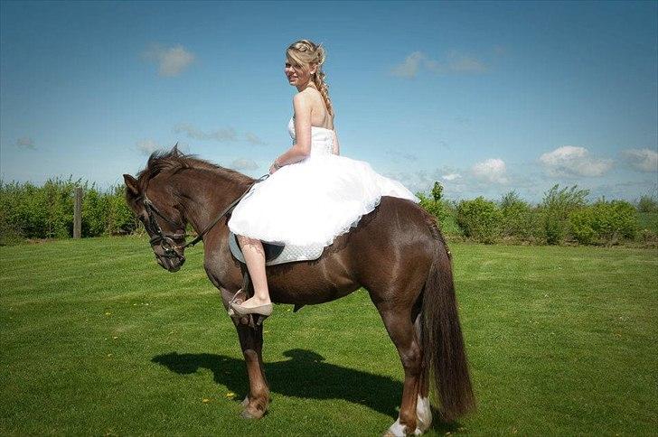 Anden særlig race Duchess - Duchess til min konfirmation <3 billede 12