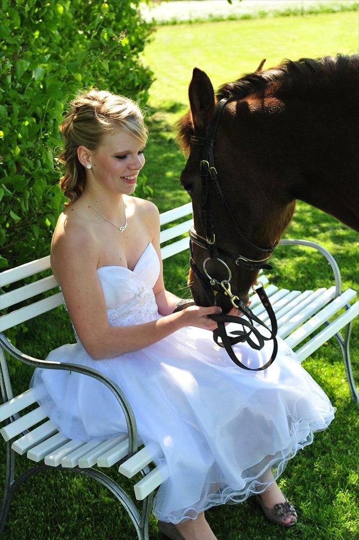 Anden særlig race Duchess - elsker dig <33 billede 13