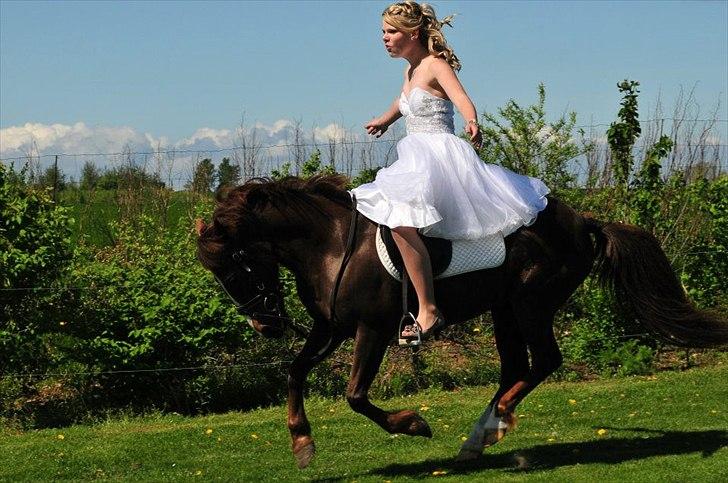 Anden særlig race Duchess - det skulle jo prøves, også i kjole ;) <33 billede 14