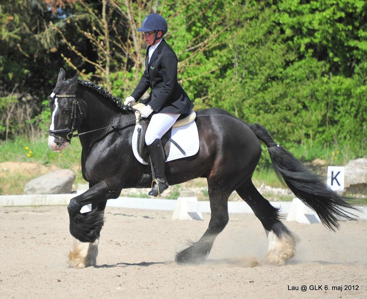 Tinker Lille Per - Dorthe på Per til GLK stævne d. 6/5-12 billede 9