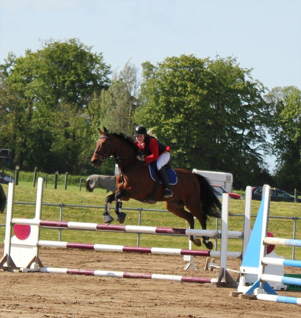 Traver Nordhusets Triton Flir <3 #Soulmate# - MBRK. LC fejlfri hovedrunde + omspring. 4 plads <3 Stjerne <3 billede 5