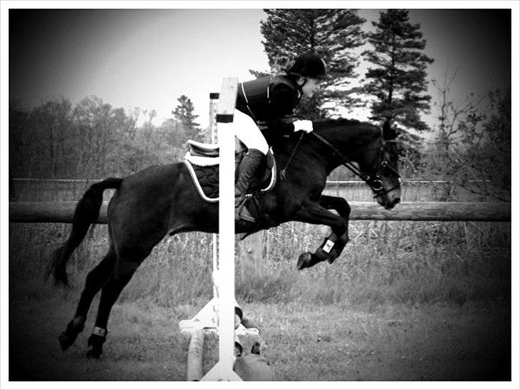 Anden særlig race Calypso - Hodsager ;-) <3 0 fejl <3 ELSKER DIG! billede 4