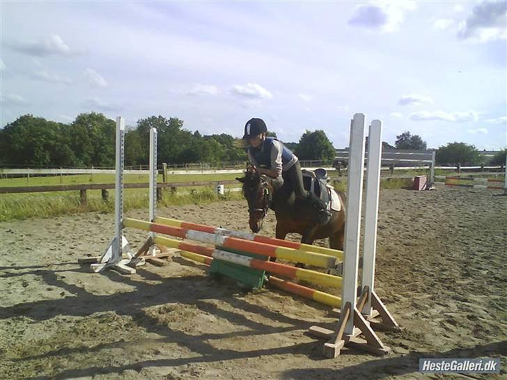 Anden særlig race Jasmin<3 SOLGT - EFTERLYST !!! - hihihihi jasmin kunne til tider være lidt strid <3 billede 12