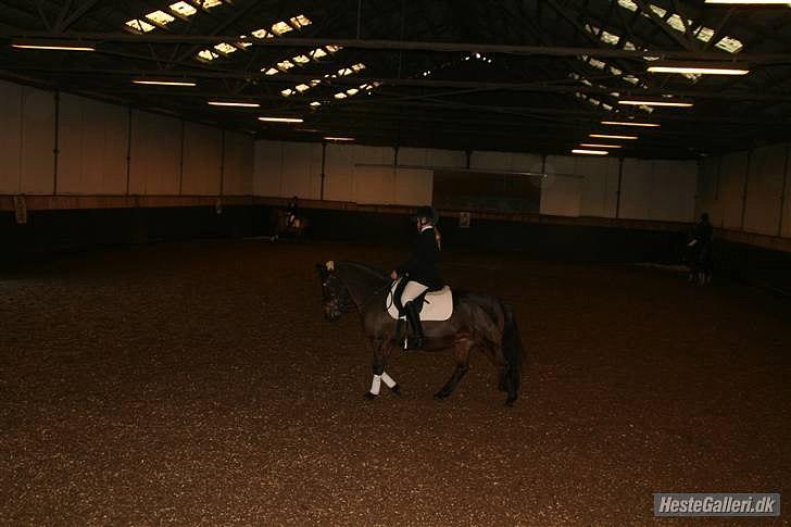 Anden særlig race Jasmin<3 SOLGT - EFTERLYST !!! - Meeeget lang tid siden. Mig og jasmins første stævne sammen billede 13