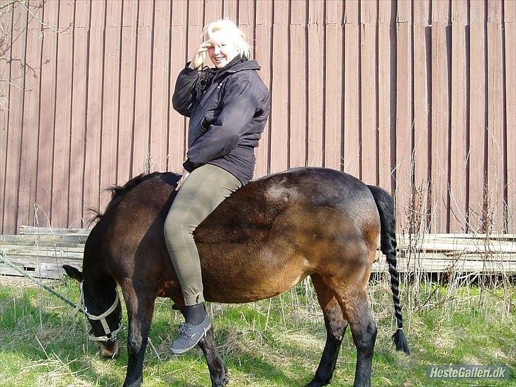 Anden særlig race Jasmin<3 SOLGT - EFTERLYST !!! - Den aller aller aller sidste gang jeg sad på hende, det var den dag hun blev hentet af sin nye ejer Den. 18/4 - 2010 sørgelig dag :') billede 16