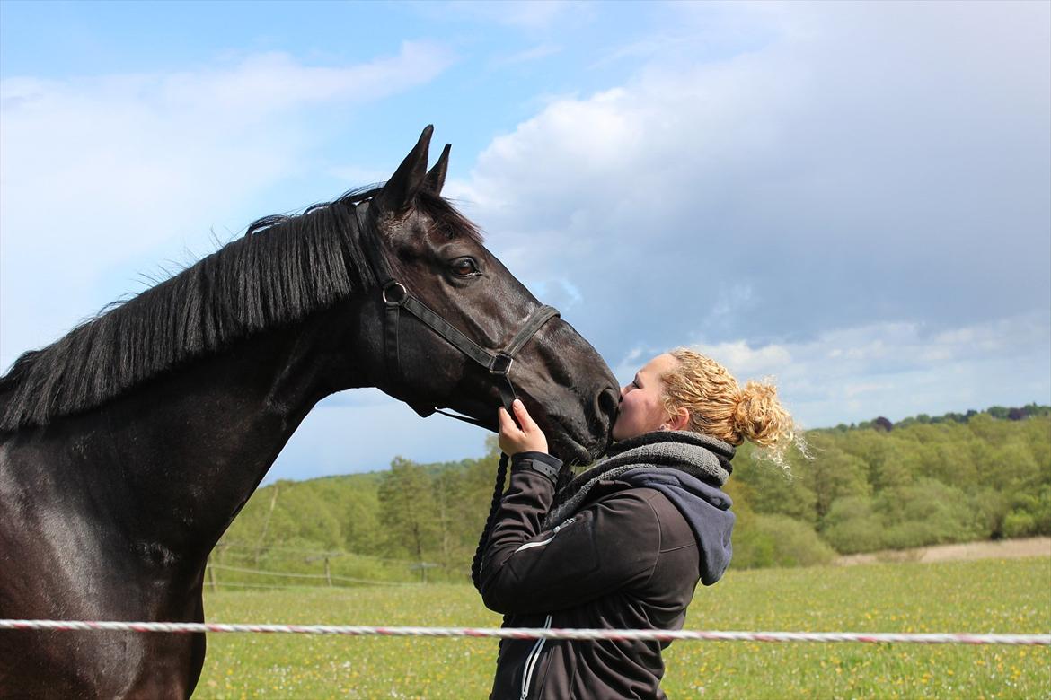 Dansk Varmblod Skovlys Devine -SOLGT- - Velkommen!
Winnie!
Jeg elsker dig! <3  billede 1