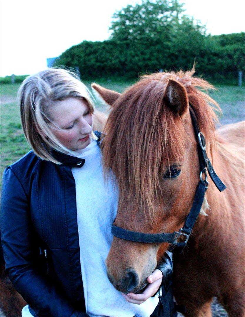 Islænder Hilde fra freersvang billede 11