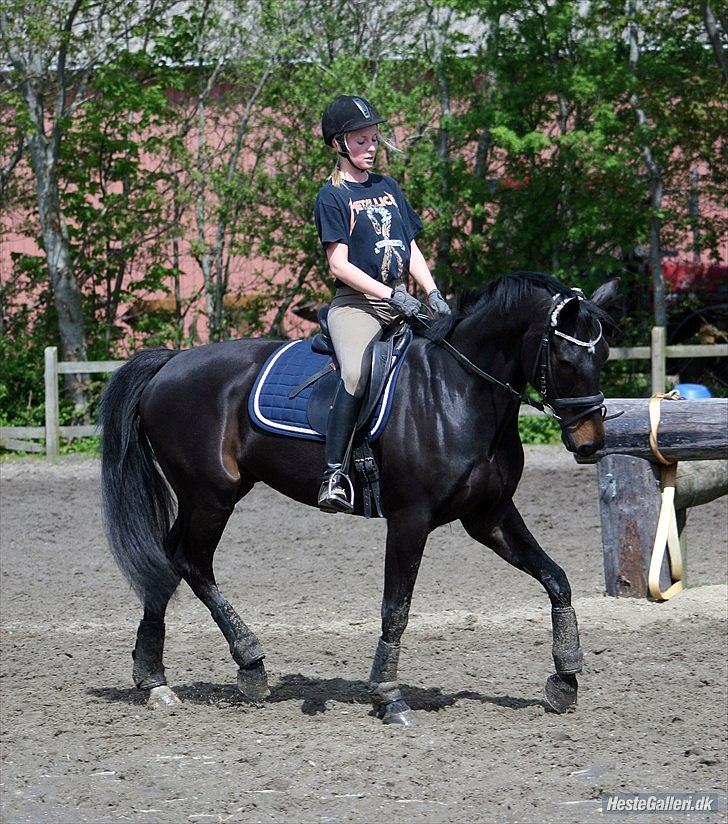 Anden særlig race Magic Dancer - Fotograf: Marianne Eiby 
D. 17. maj  2012 billede 14