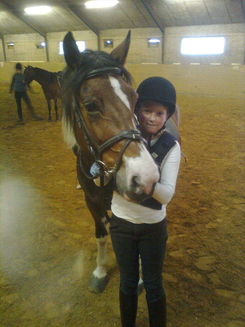 Anden særlig race Mille (Pensioneret) - „Engang var du smilet på mine læber, nu er du tårerne på min kind.“
Jeg elsker dig så højt og nu er det ikke engang sikkert jeg nogensinde kommer til at ride dig igen :'( billede 11