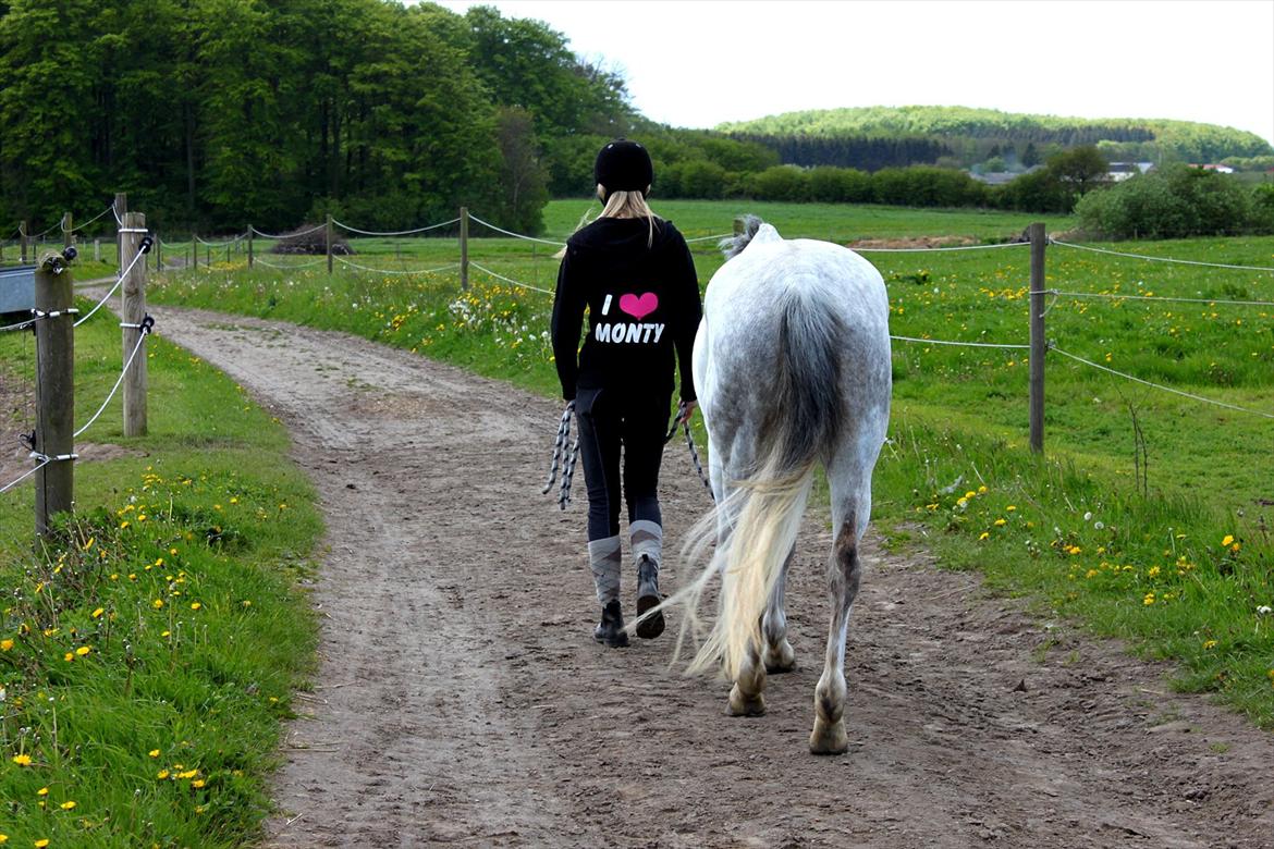 Tysk Sportspony Monique - Min trøje er en fornærmelse for Monique! ;-) billede 15