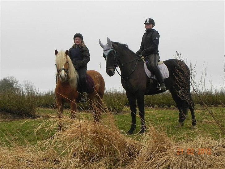 Haflinger Anna-Bell - smukke Anna-Bell og Ann på tur! 
AB med hendes ejer Ditte! mig på Ann 
vinterferie 2012 billede 16